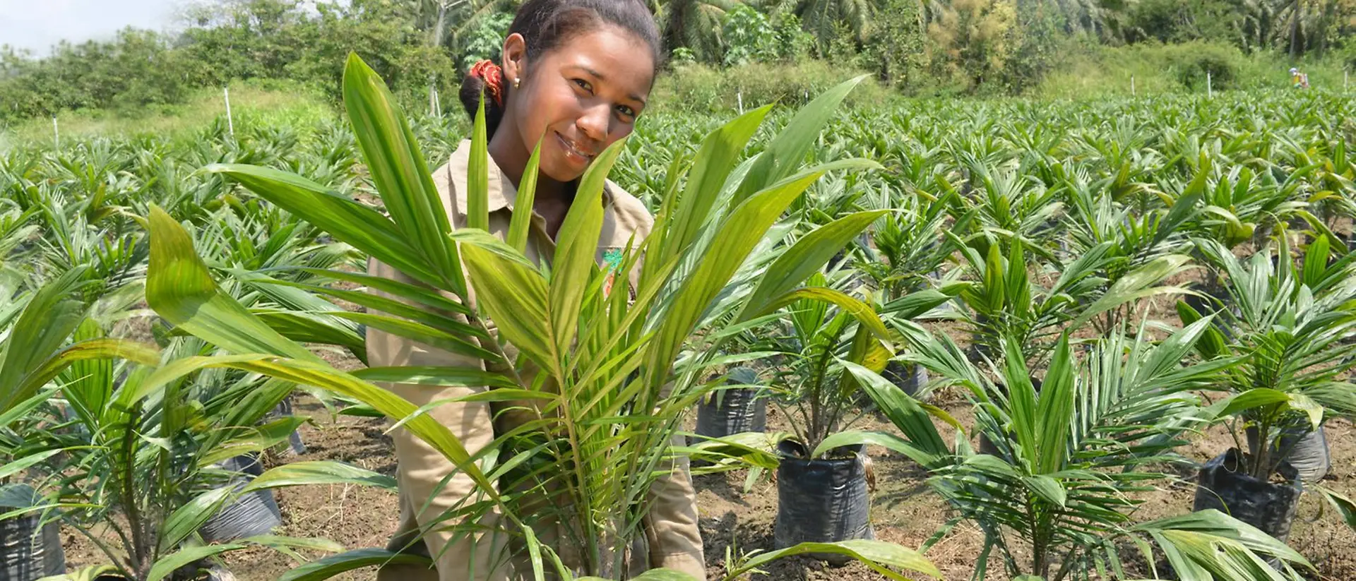 Mujer en un nuevo campo de palmeras.